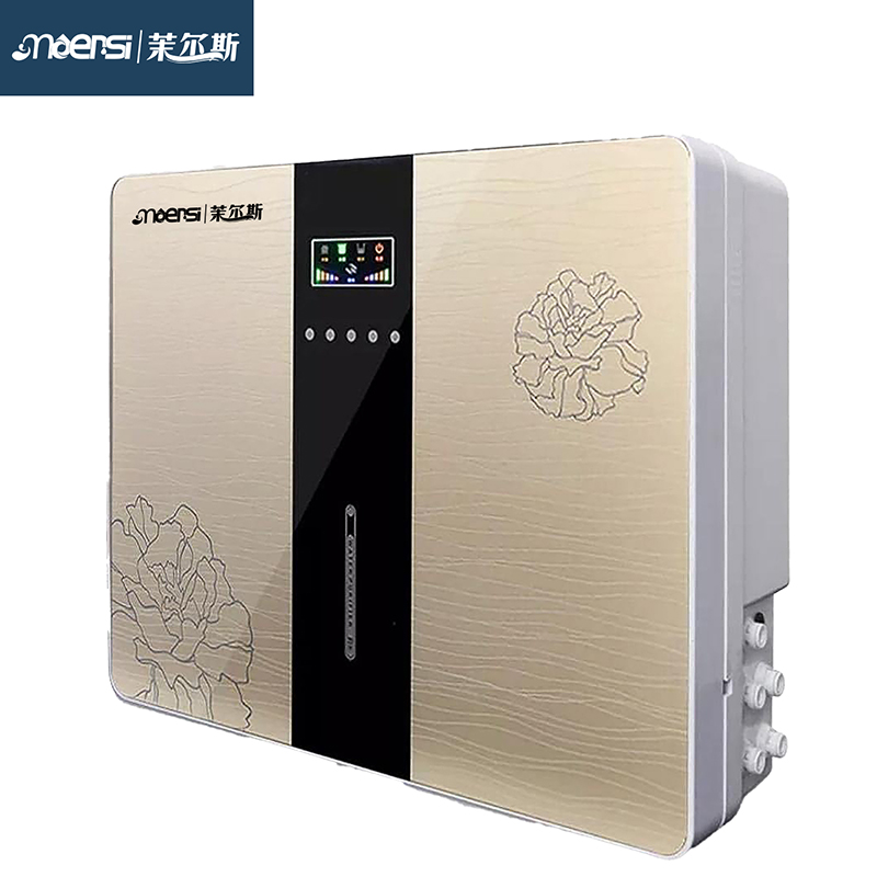 Apple 6th Generation