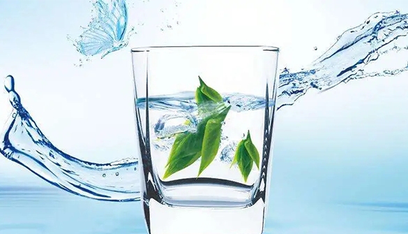 The Pursuit of Safe, Clean, and Healthy Water: Exploring the 